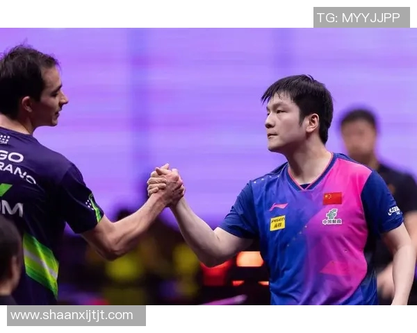 樊振东加盟德甲震惊台北球员引发热议与关注